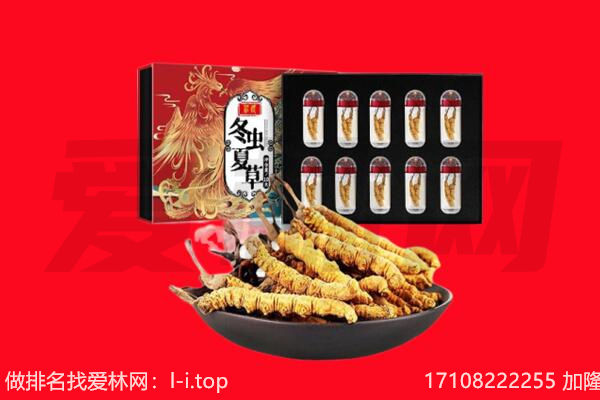 商洛市丹凤回收虫草.jpg